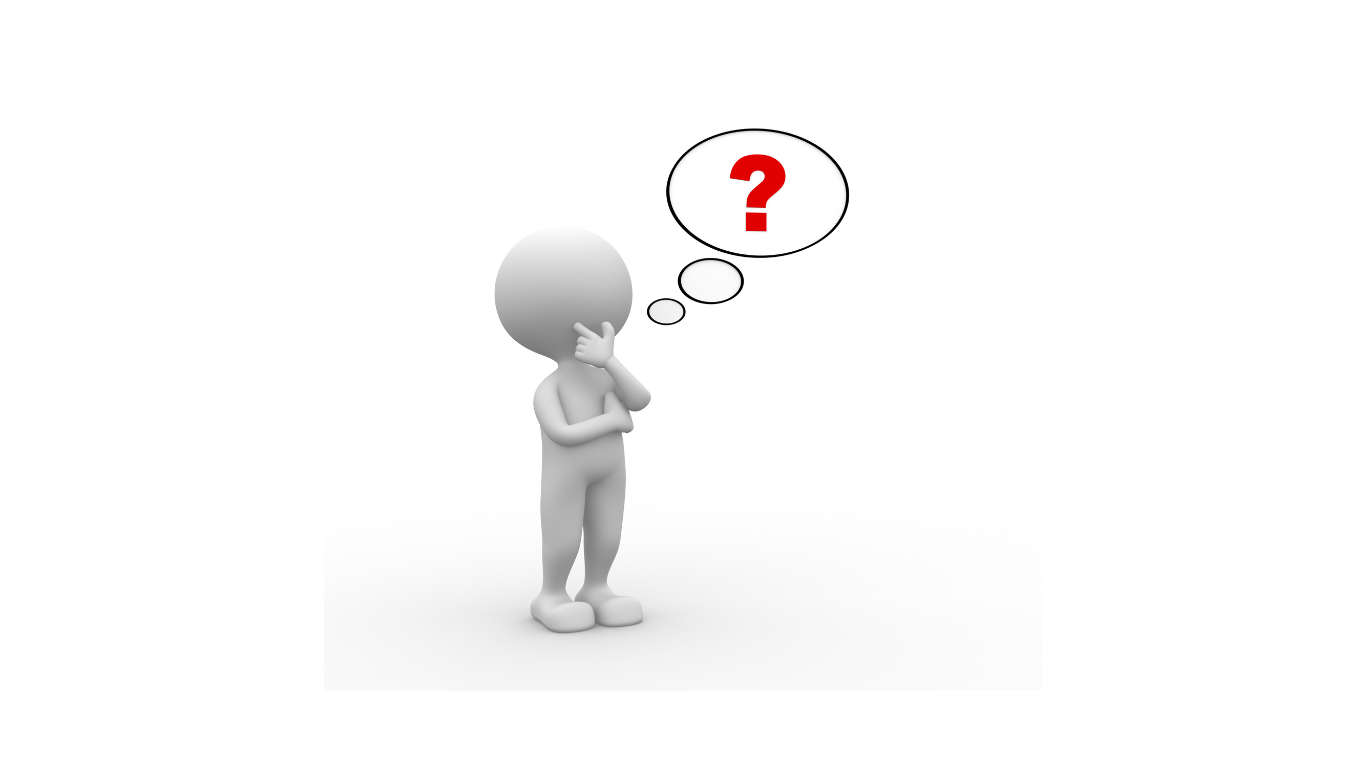 team-01 question and answer section with tutors